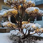 Apartman 3